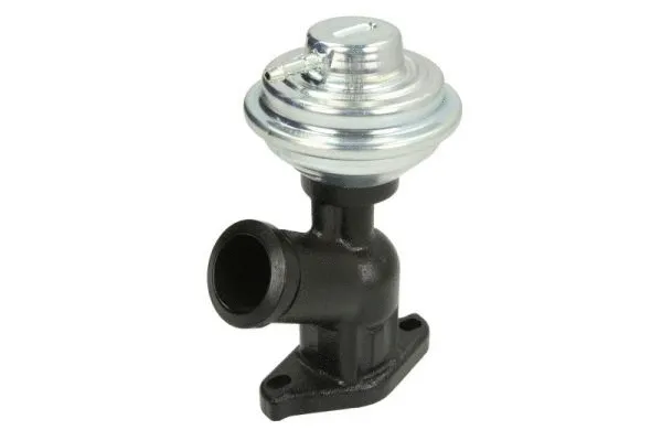 EGR Valve (ENT500123)