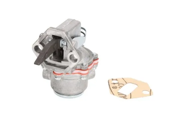 Fuel Pump (ENT110225)