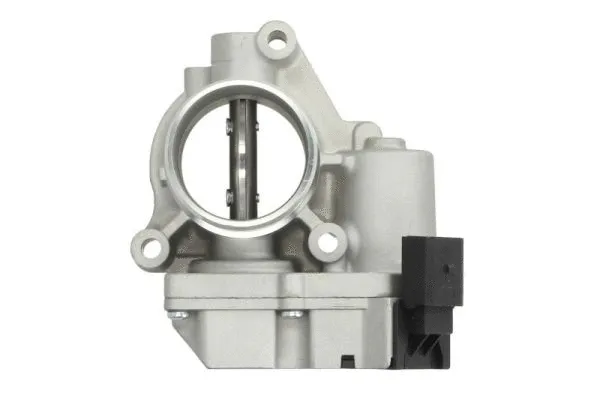 Throttle Body (ENT310052)