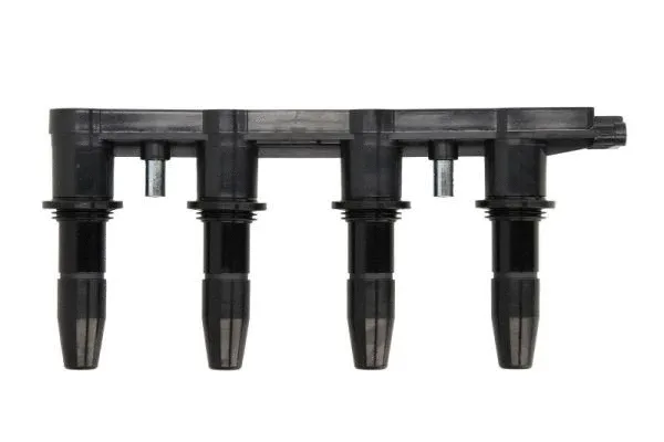 Ignition Coil (ENT960025)