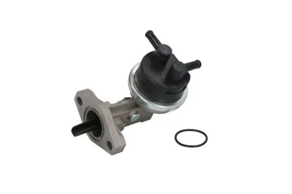 Fuel Pump (ENT110249)