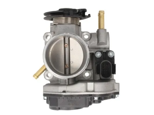 Throttle Body (ENT310005)
