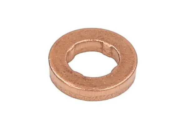 Seal, injector shaft (ENT250158/1)