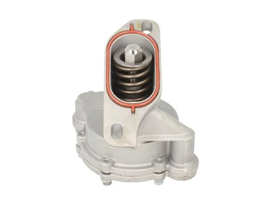 Vacuum Pump, braking system (ENT400009)