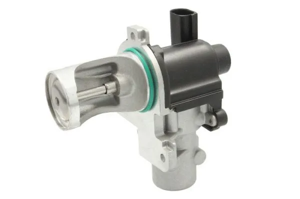 EGR Valve (ENT500068)