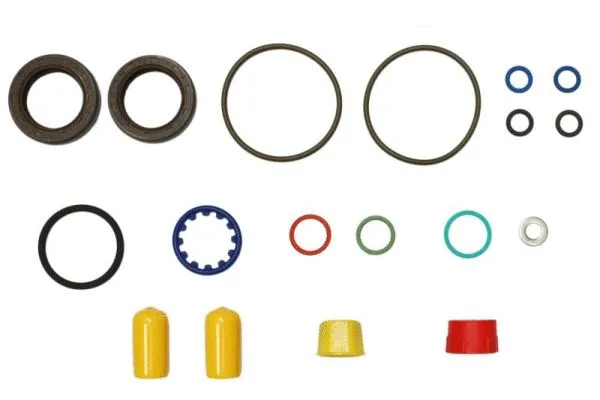 Seal Kit, injector pump (ENT210045)