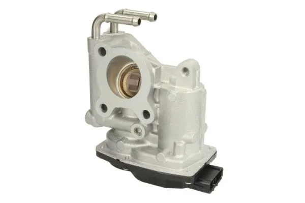 EGR Valve (ENT500122)