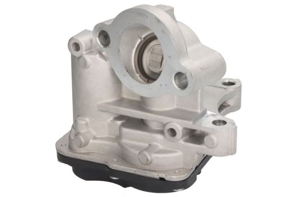 EGR Valve (ENT500165)