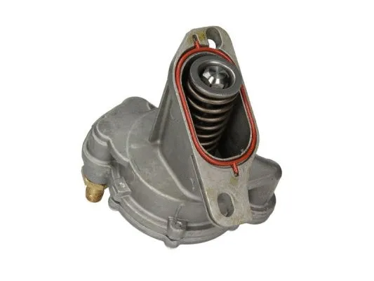 Vacuum Pump, braking system (ENT400006)