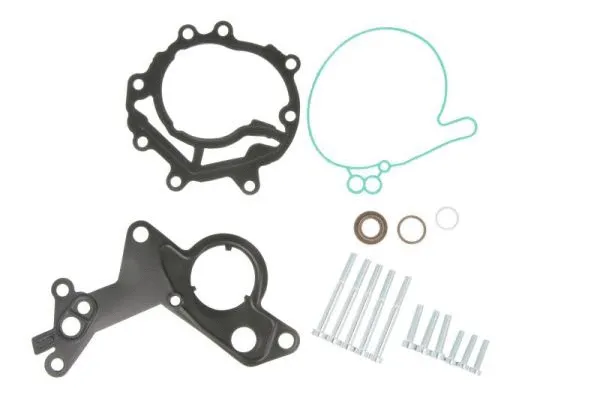 Repair Set, vacuum pump (braking system) (ENT410003)