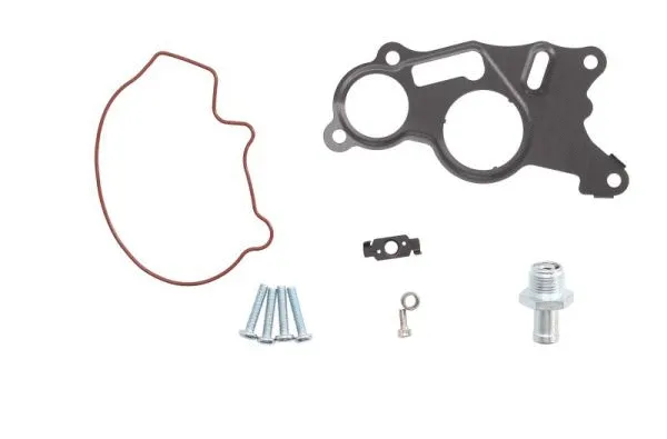 Repair Set, vacuum pump (braking system) (ENT410007)