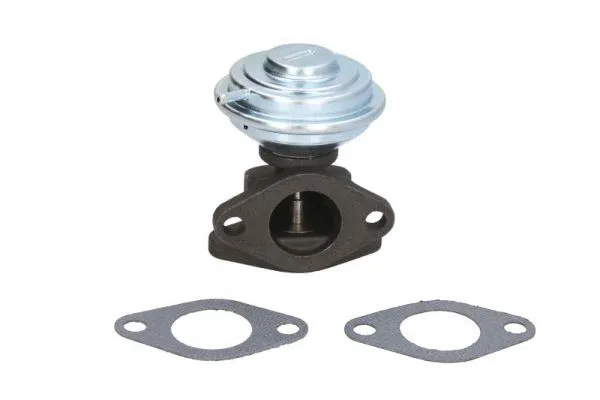EGR Valve (ENT500137)