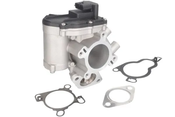 EGR Valve (ENT500126)