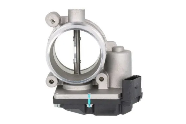 Throttle Body (ENT310033)