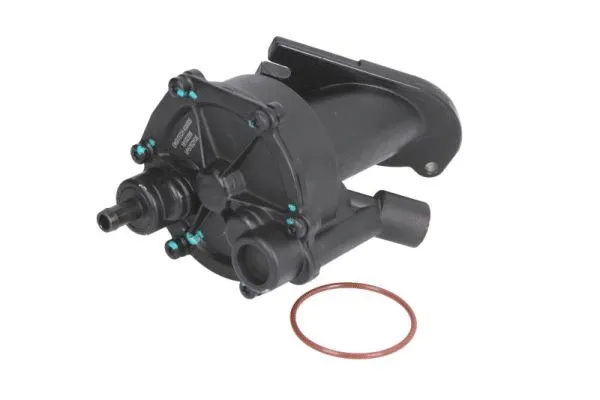 Vacuum Pump, braking system (ENT400005)