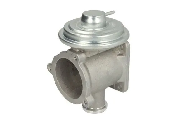 EGR Valve (ENT500075)