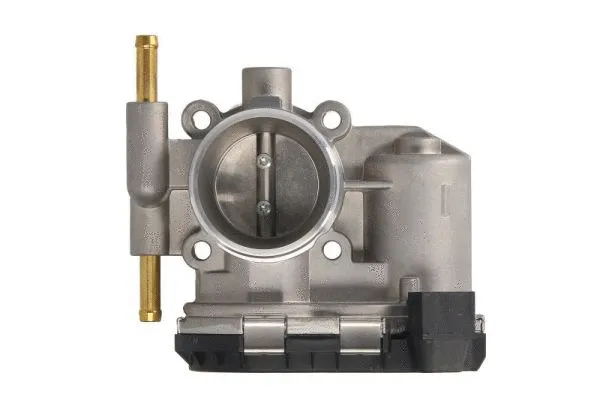 Throttle Body (ENT310043)