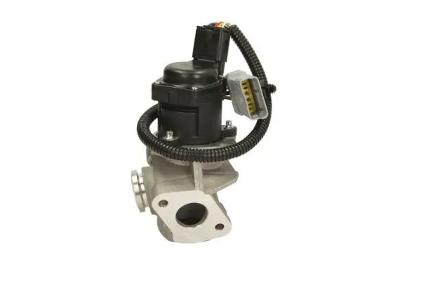 EGR Valve (ENT500049)