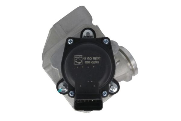 EGR valve, exhaust control