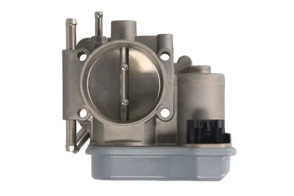 Throttle Body (ENT310046)