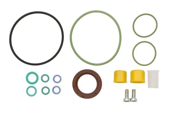 Repair Kit, fuel pump (ENT210037)