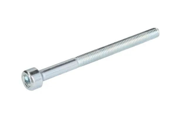 Screw, injection valve holder (ENT250345)