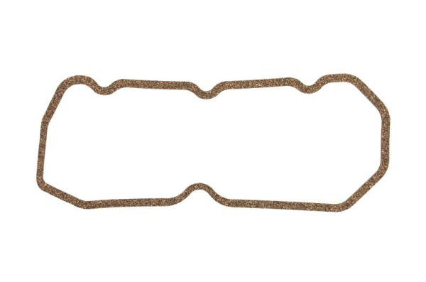 Gasket, cylinder head cover (ENT010676)