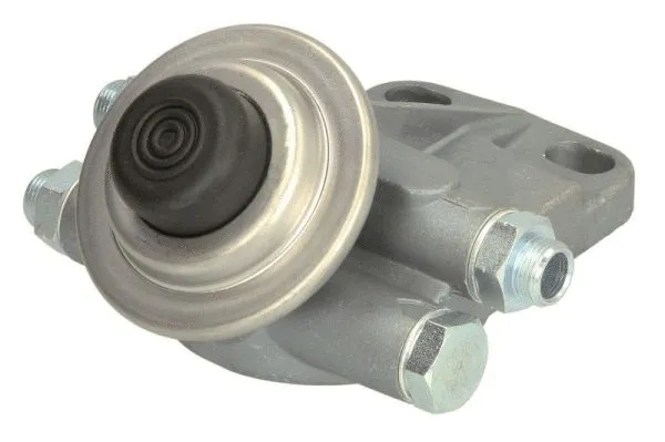 Fuel Pump (ENT110344)