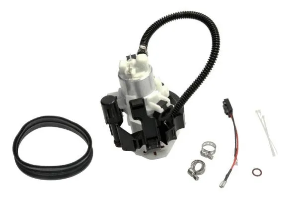 Fuel Pump (ENT100150)