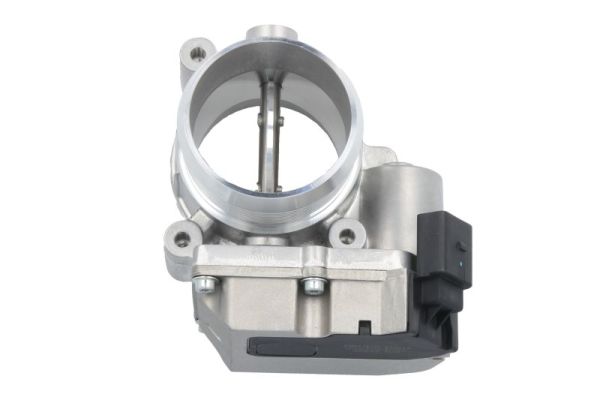 Throttle Body (ENT310014)