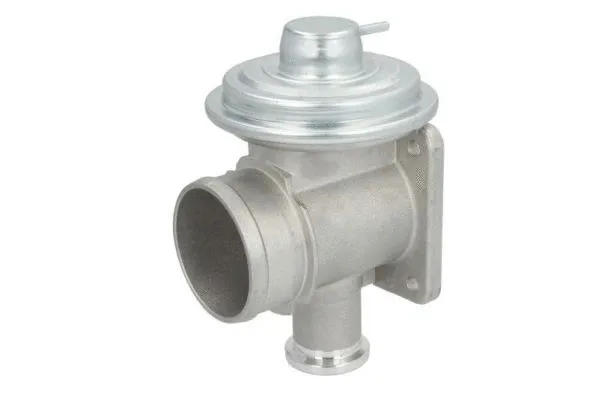 EGR Valve (ENT500078)