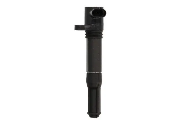 Ignition Coil (ENT960059)