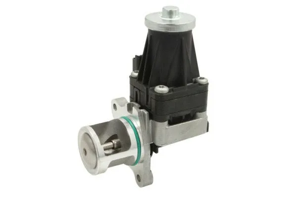 EGR Valve (ENT500111)