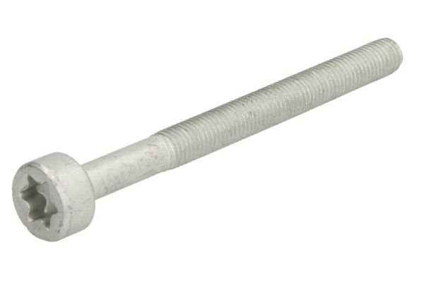 Screw, injection nozzle holder (ENT250578)