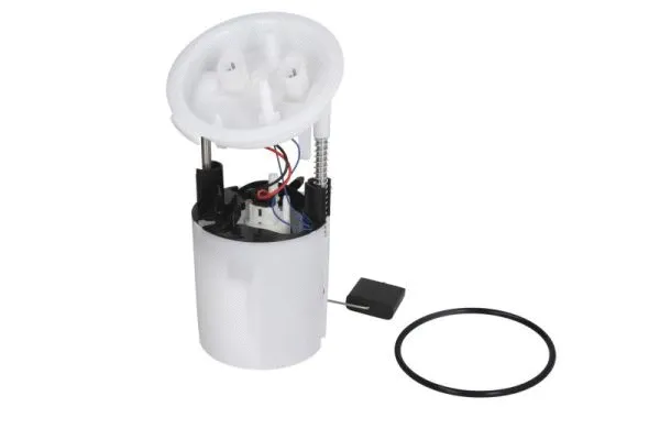 Fuel Pump (ENT100098)