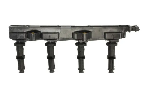 Ignition Coil (ENT960107)