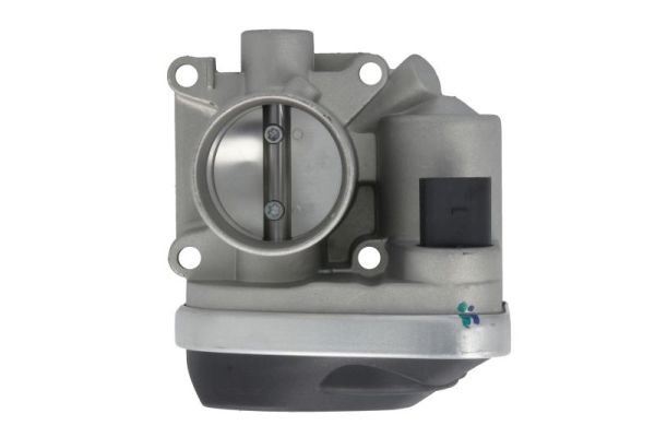 Throttle Body (ENT310004)