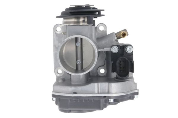 Throttle Body (ENT310002)