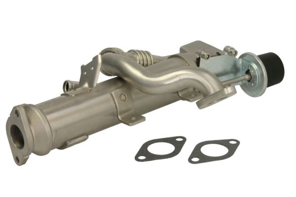 EGR Module (ENT520036)