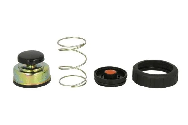 Repair Kit, fuel pump (ENT110345)