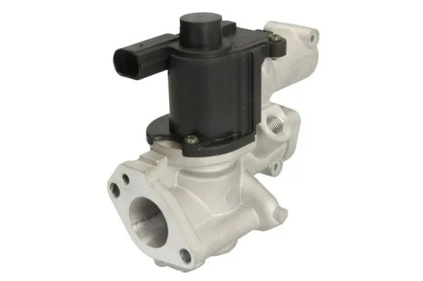 EGR Valve (ENT500097)