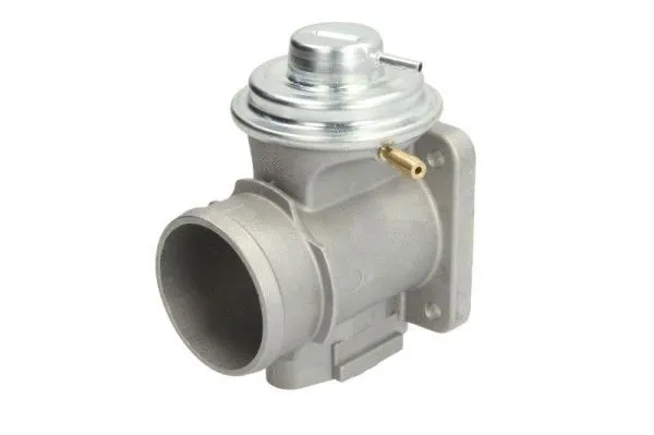 EGR Valve (ENT500077)