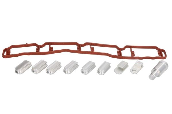 Repair Kit, intake manifold module (ENT320013)