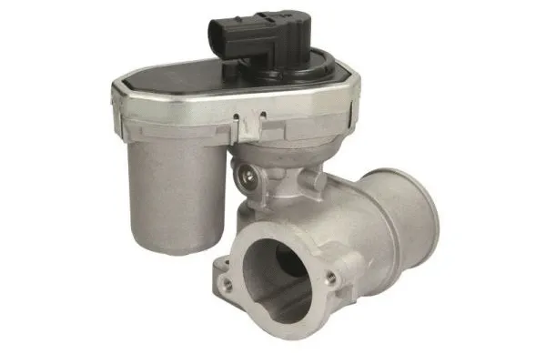 EGR Valve (ENT500057)