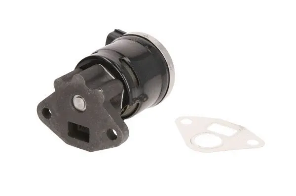 EGR Valve (ENT500143)