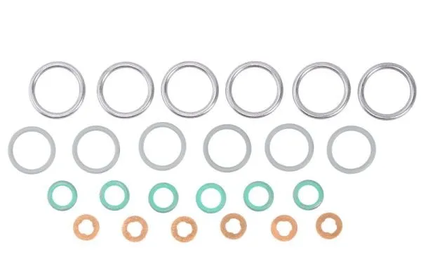 Seal Ring, injector
