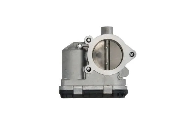 Throttle Body (ENT310025)