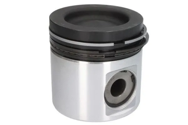 Piston (ENT054000 STD)