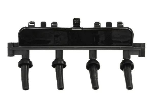 Ignition Coil (ENT960081)