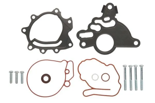 Repair Set, vacuum pump (braking system) (ENT410012)